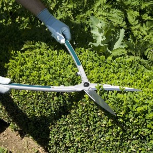 Atelier MR Mickaël Raillard Paysagiste à Paris. Entretien de jardins et de terrasses haut de gamme.