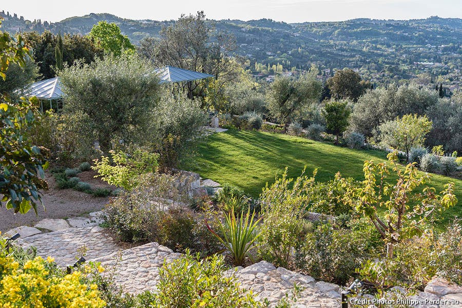 jardin de particulier composé de plantes méditerranéennes type oliviers, santolines, lavandes, cyprès de Provence créé par un paysagiste.